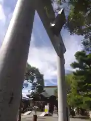 杉杜白髭神社(福井県)