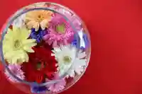 壽徳寺 じゅとくじの手水舎