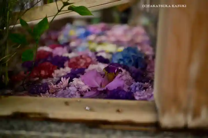 東京大神宮(東京都)