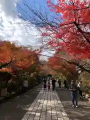 石山寺の建物その他