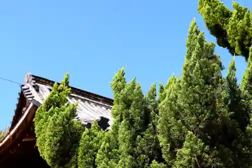 三津厳島神社の本殿