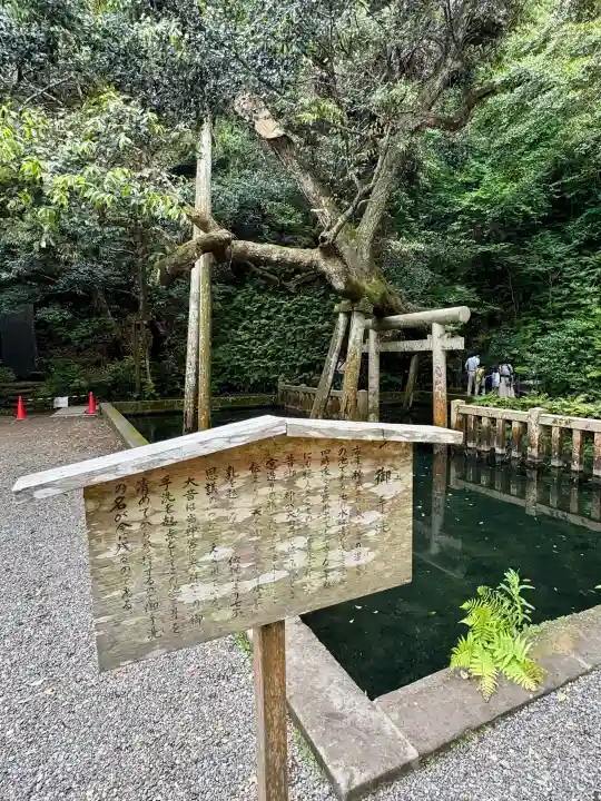鹿島神宮の{uncategorized: "未分類", other: "その他", undefined: "問題あり", building: "その他建物", grave: "お墓", sacred_gate: "鳥居", guardian: "狛犬", statue: "像", buddha: "仏像", history: "歴史", nature: "自然", garden: "庭園", animal: "動物", pagoda: "塔", temizu: "手水舎", mountain_gate: "山門・神門", sanctuary: "本殿・本堂", subordinate: "末社・摂社", art: "芸術", scenery: "景色", jizo: "地蔵", ema: "絵馬", goshuin: "御朱印", omikuji: "おみくじ", items: "授与品その他", amulet: "お守り", goshuincho: "御朱印帳", eats: "食事", festival: "お祭り", votive_dance: "神楽", shichigosan: "七五三参", wedding: "結婚式", experience: "体験その他", initially: "初詣", around: "周辺", anti_infection: "感染症対策"}