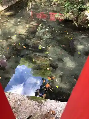 枚岡神社のその他建物