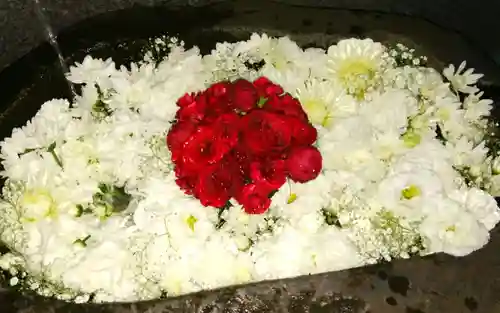 手稲神社(北海道)