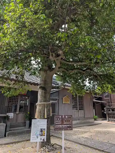 西大寺(岡山県)