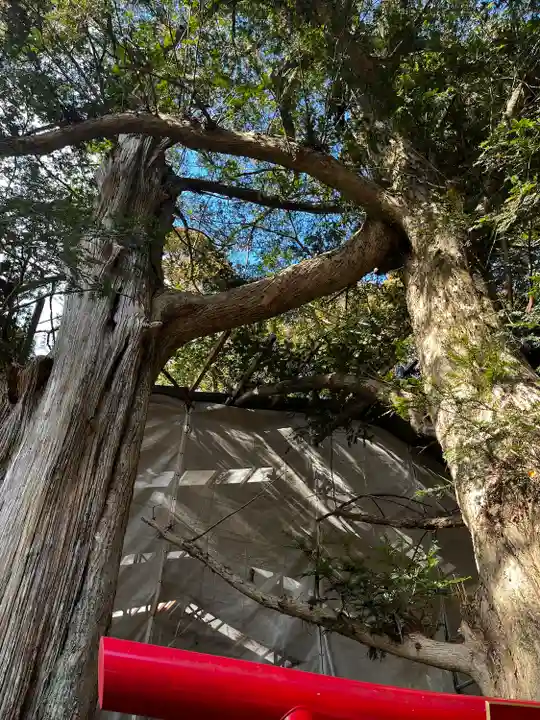 涼ケ岡八幡神社(福島県)
