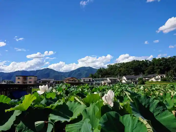 信濃國分寺(長野県)