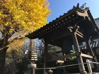 新井薬師（梅照院）(東京都)
