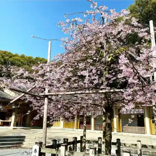 福岡縣護國神社の自然