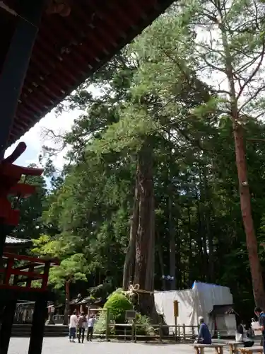 北口本宮冨士浅間神社のその他建物