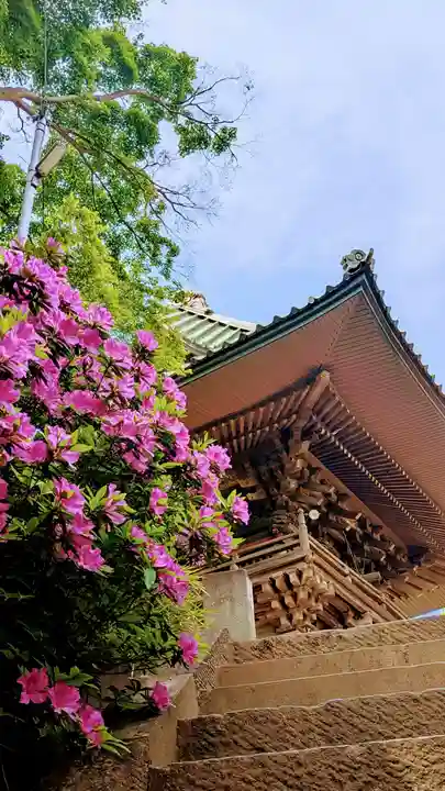 飯綱神社の自然