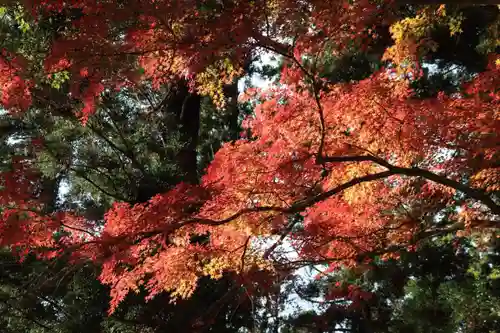 田村神社の景色