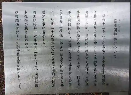 大星神社(長野県)