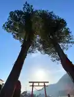 貴船神社の鳥居