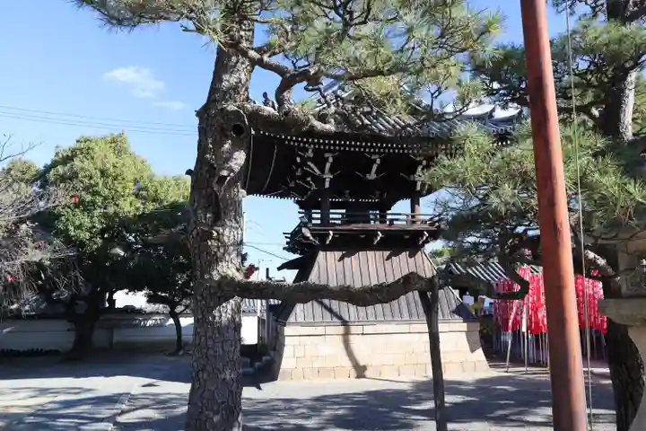 葛井寺(大阪府)