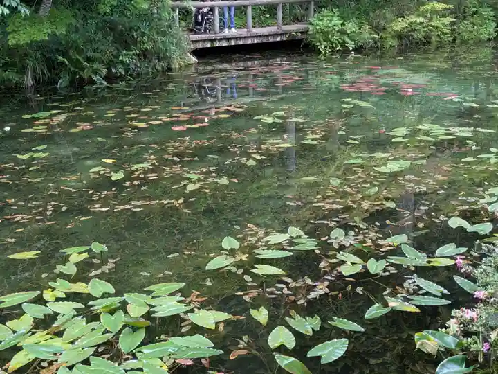 根道神社(岐阜県)