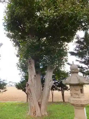 十軒神明宮のその他建物