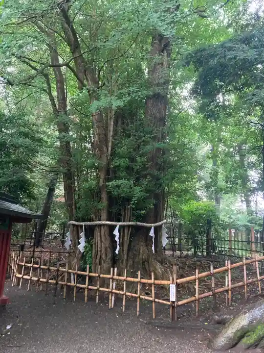 大國魂神社(東京都)