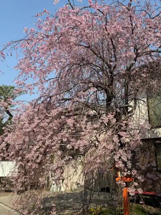 猿田彦神社の{uncategorized: "未分類", other: "その他", undefined: "問題あり", building: "その他建物", grave: "お墓", sacred_gate: "鳥居", guardian: "狛犬", statue: "像", buddha: "仏像", history: "歴史", nature: "自然", garden: "庭園", animal: "動物", pagoda: "塔", temizu: "手水舎", mountain_gate: "山門・神門", sanctuary: "本殿・本堂", subordinate: "末社・摂社", art: "芸術", scenery: "景色", jizo: "地蔵", ema: "絵馬", goshuin: "御朱印", omikuji: "おみくじ", items: "授与品その他", amulet: "お守り", goshuincho: "御朱印帳", eats: "食事", festival: "お祭り", votive_dance: "神楽", shichigosan: "七五三参", wedding: "結婚式", experience: "体験その他", initially: "初詣", around: "周辺", anti_infection: "感染症対策"}
