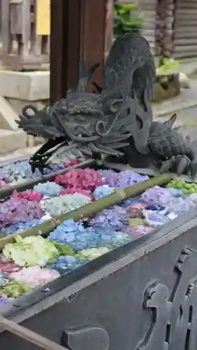 柳谷観音　楊谷寺(京都府)