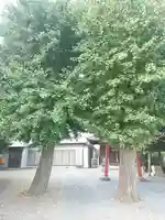 牛子稲荷神社(埼玉県)