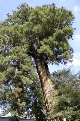 香取神宮(千葉県)