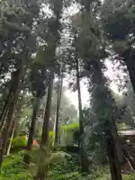 大宮温泉神社(栃木県)