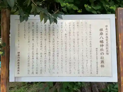 根岸八幡神社(神奈川県)