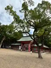 住吉大社(大阪府)