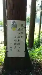 一矢神社の建物その他