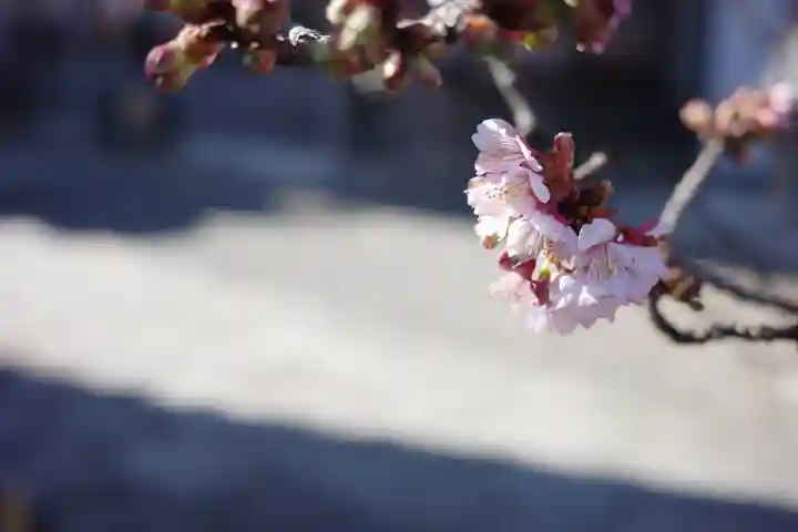 西新井大師総持寺(東京都)