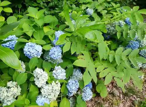 士別神社(北海道)