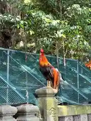 大甕神社(茨城県)