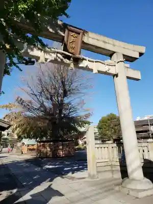 今戸神社の鳥居