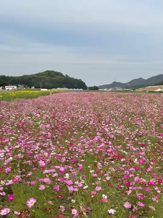 道通神社(岡山県)