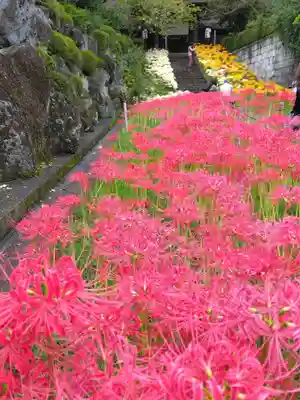 横浜　西方寺(神奈川県)