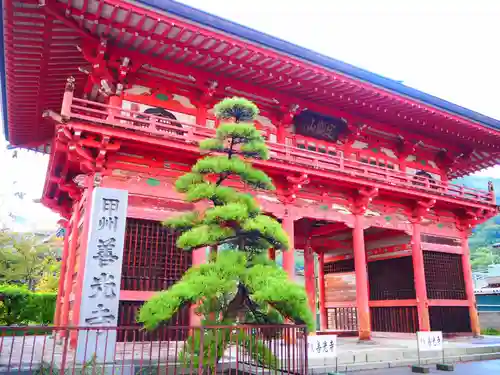 甲斐善光寺の山門