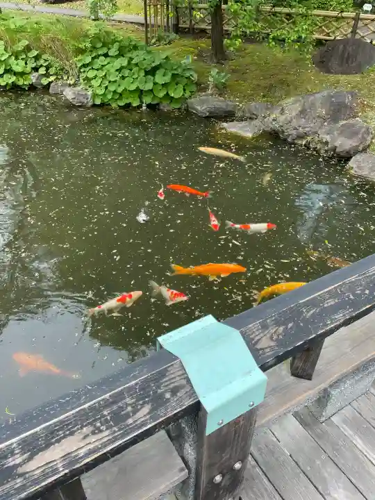 東郷神社の{uncategorized: "未分類", other: "その他", undefined: "問題あり", building: "その他建物", grave: "お墓", sacred_gate: "鳥居", guardian: "狛犬", statue: "像", buddha: "仏像", history: "歴史", nature: "自然", garden: "庭園", animal: "動物", pagoda: "塔", temizu: "手水舎", mountain_gate: "山門・神門", sanctuary: "本殿・本堂", subordinate: "末社・摂社", art: "芸術", scenery: "景色", jizo: "地蔵", ema: "絵馬", goshuin: "御朱印", omikuji: "おみくじ", items: "授与品その他", amulet: "お守り", goshuincho: "御朱印帳", eats: "食事", festival: "お祭り", votive_dance: "神楽", shichigosan: "七五三参", wedding: "結婚式", experience: "体験その他", initially: "初詣", around: "周辺", anti_infection: "感染症対策"}