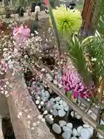 水堂須佐男神社(兵庫県)