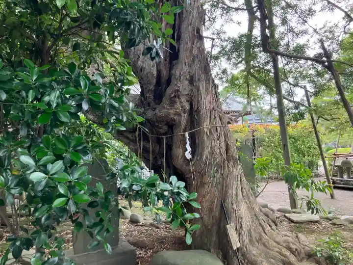 金蓮院(東京都)