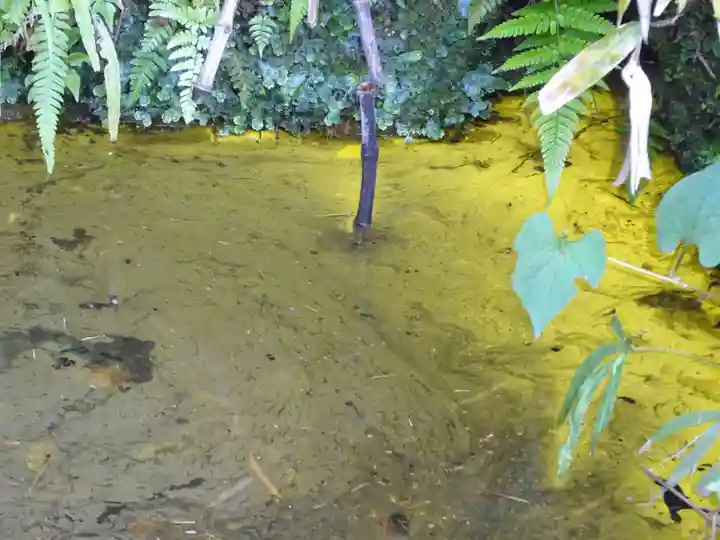 白笹稲荷神社の自然