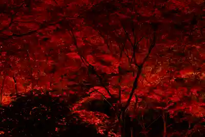 北野天満宮(京都府)