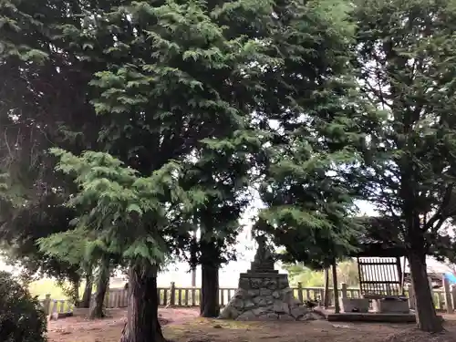 住吉神社(兵庫県)