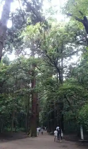 鹿島神宮の自然