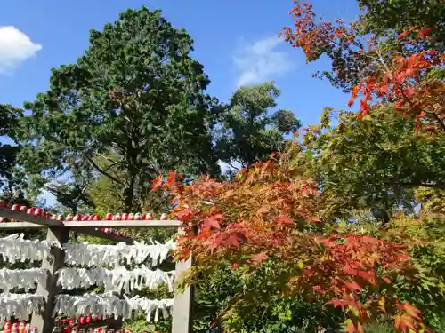 大安寺(奈良県)