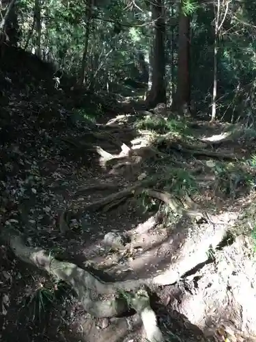 西金砂神社の自然