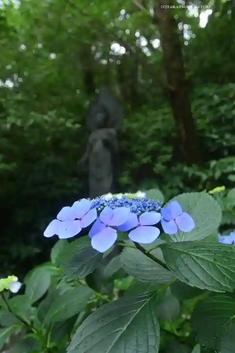 高幡不動尊 金剛寺(東京都)