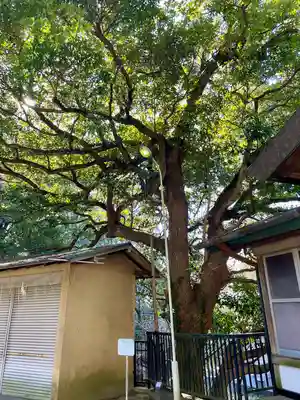 上野毛稲荷神社(東京都)