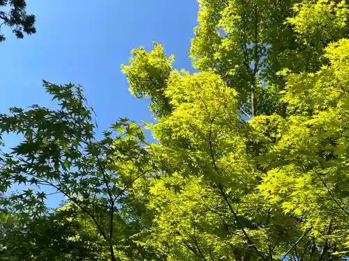 円通院(宮城県)