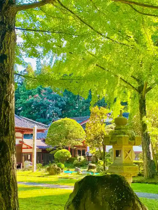 宝蔵寺(山形県)